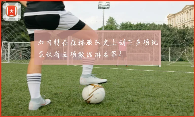 加内特在森林狼队史上创下多项纪录仅有五项数据排名第2